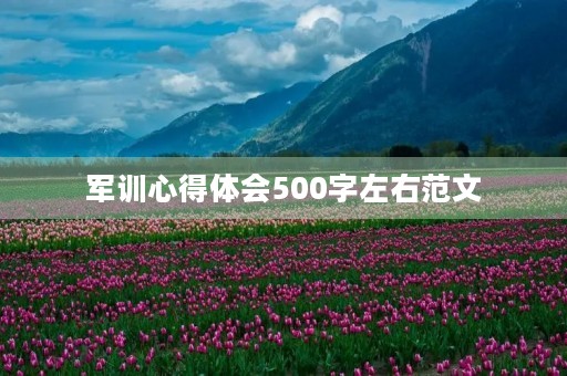 军训心得体会500字左右范文