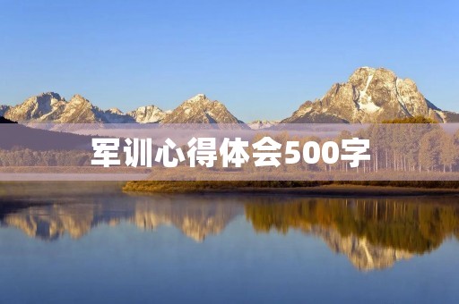 军训心得体会500字
