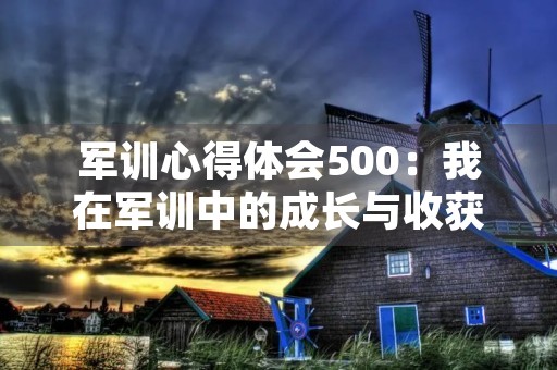 军训心得体会500：我在军训中的成长与收获