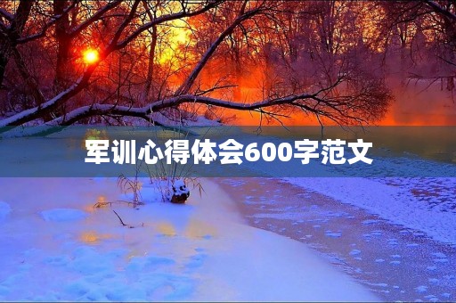 军训心得体会600字范文