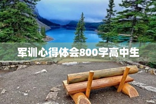 军训心得体会800字高中生