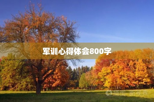 军训心得体会800字