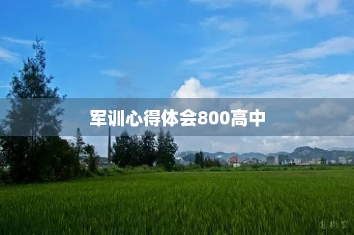 军训心得体会800高中 军训心得体会800高中