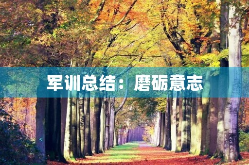 军训总结：磨砺意志，强化纪律，锤炼品质