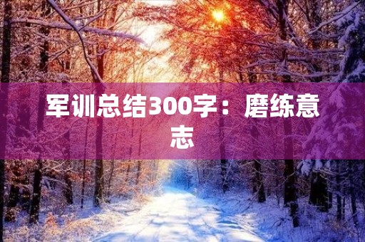 军训总结300字:磨练意志,锤炼品质 军训总结300字:磨练意志,锤炼品质