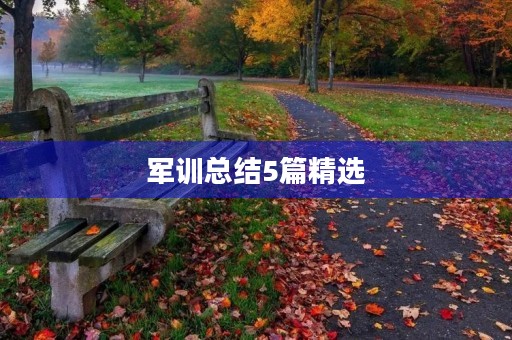 军训总结5篇精选