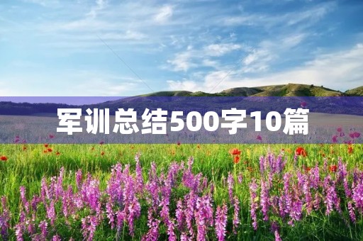 军训总结500字10篇