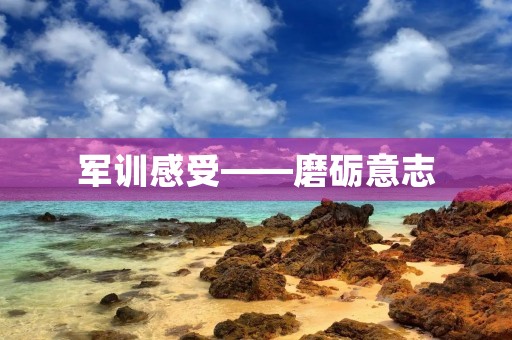军训感受——磨砺意志,锻炼品质 军训感受——磨砺意志,锻炼品质