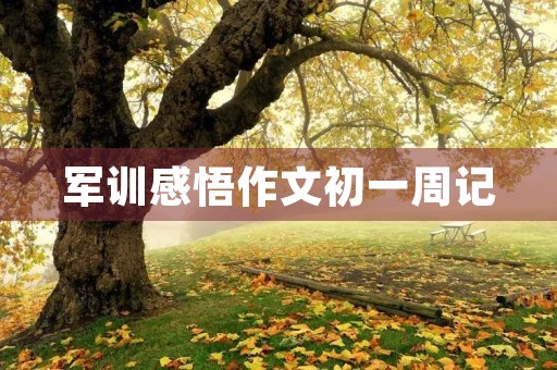 军训感悟作文初一周记 军训感悟作文初一周记