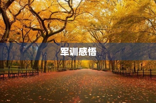 军训感悟