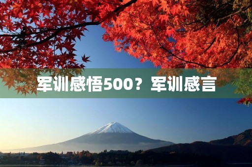 军训感悟500?军训感言(心得体会)500字左右哦 军训感悟500?军训感言(心得体会)500字左右哦
