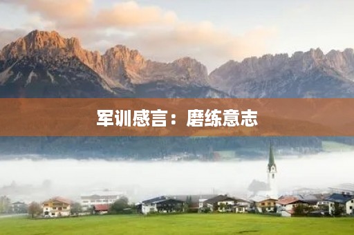军训感言：磨练意志，锤炼品质