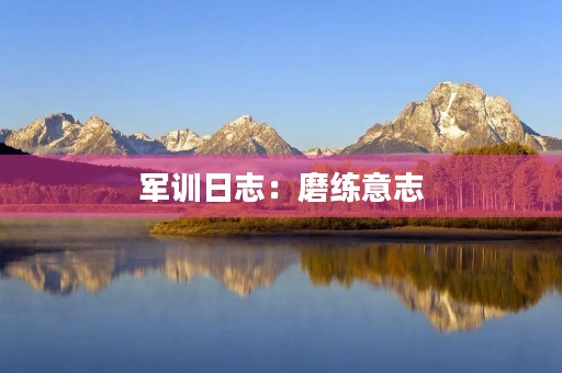 军训日志：磨练意志，锤炼品质