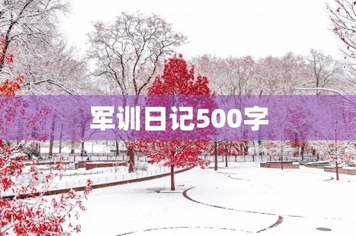 军训日记500字 军训日记500字
