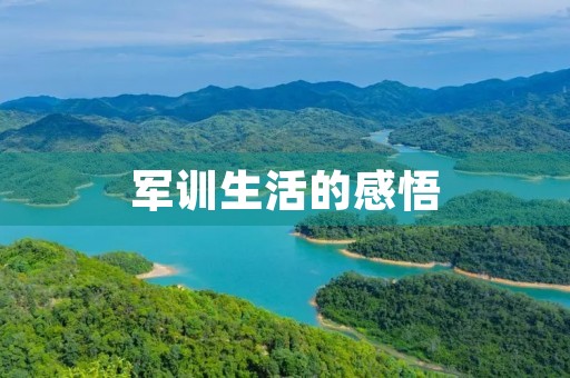军训生活的感悟 军训生活的感悟