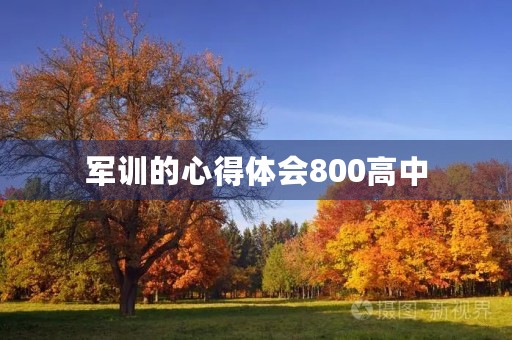 军训的心得体会800高中