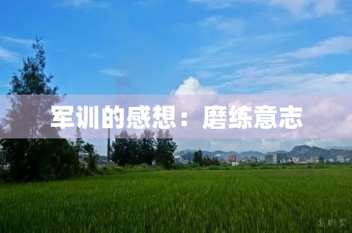军训的感想：磨练意志，锻炼身体