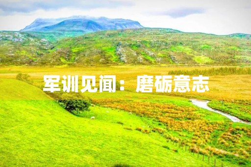 军训见闻：磨砺意志，锤炼品质