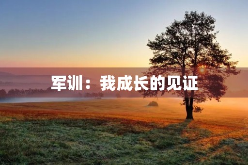军训:我成长的见证 军训:我成长的见证