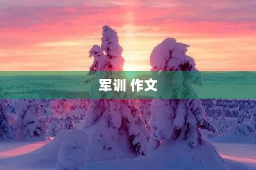 军训 作文