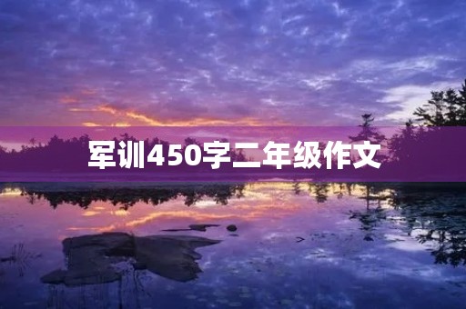军训450字二年级作文