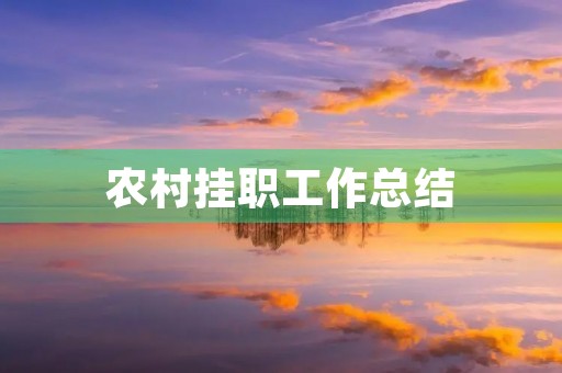 农村挂职工作总结