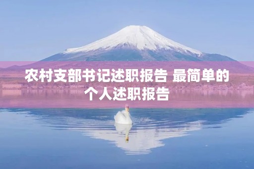 农村支部书记述职报告 最简单的个人述职报告
