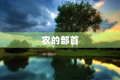 农的部首(农的部首)