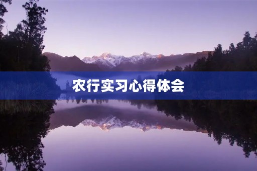农行实习心得体会