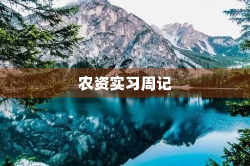 农资实习周记
