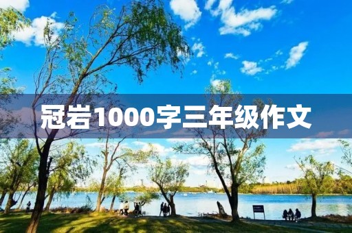 冠岩1000字三年级作文