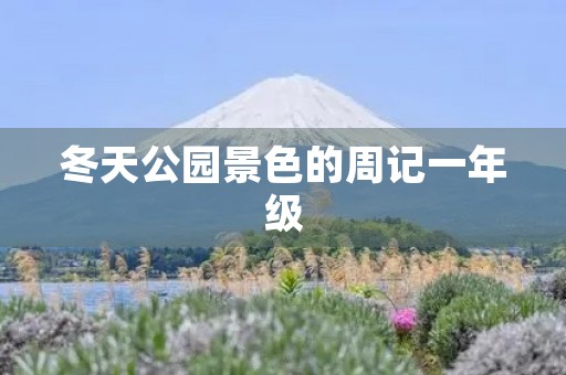 冬天公园景色的周记一年级 冬天公园景色的周记一年级