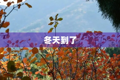 冬天到了 冬天到了