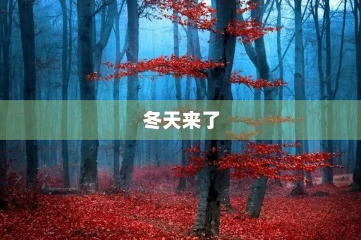 冬天来了，如何保暖过冬？