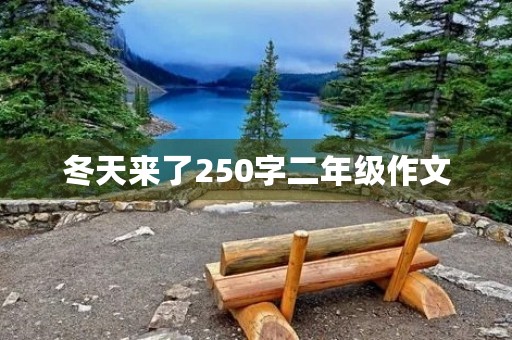 冬天来了250字二年级作文