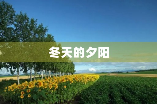冬天的夕阳