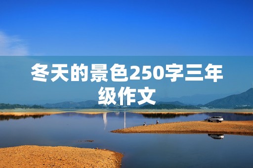 冬天的景色250字三年级作文