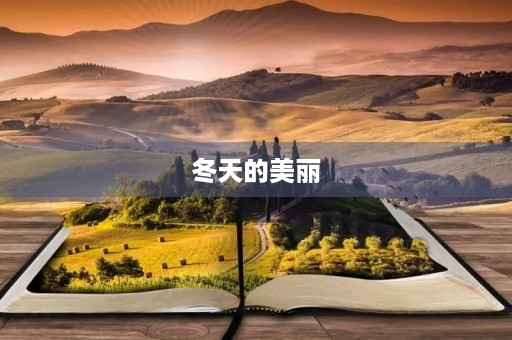 冬天的美丽 冬天的美丽