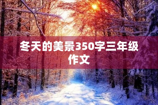 冬天的美景350字三年级作文 冬天的美景350字三年级作文