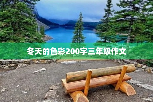冬天的色彩200字三年级作文