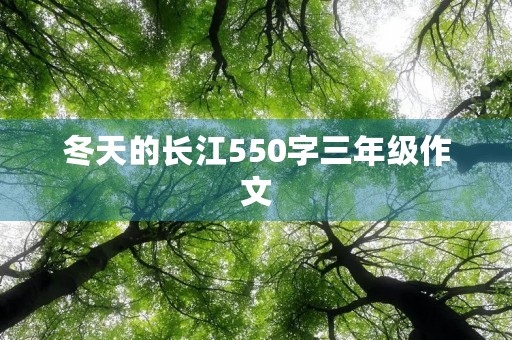 冬天的长江550字三年级作文