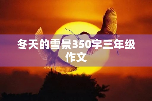 冬天的雪景350字三年级作文 冬天的雪景350字三年级作文