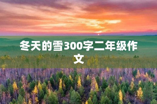 冬天的雪300字二年级作文 冬天的雪300字二年级作文