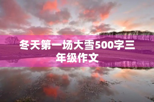冬天第一场大雪500字三年级作文