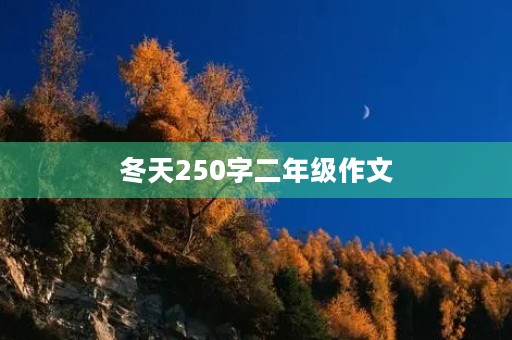 冬天250字二年级作文