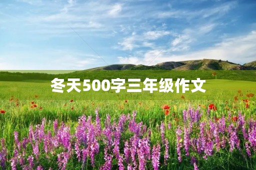 冬天500字三年级作文 冬天500字三年级作文