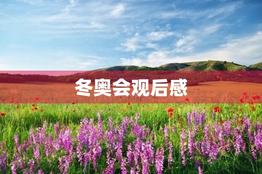 冬奥会观后感