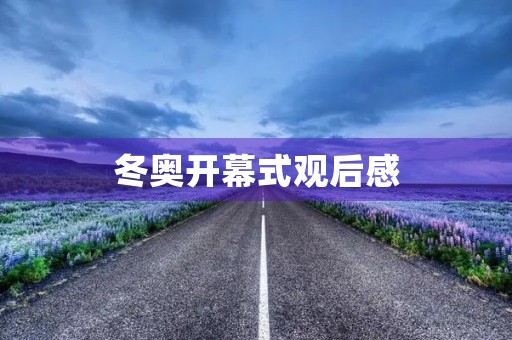 冬奥开幕式观后感