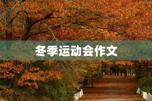 冬季运动会作文 冬季运动会作文