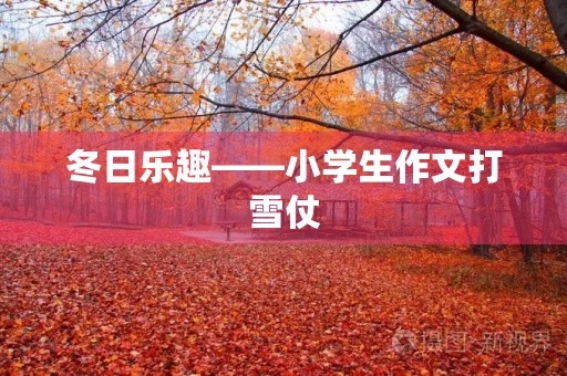 冬日乐趣——小学生作文打雪仗 冬日乐趣——小学生作文打雪仗